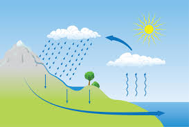 ciclo da auga