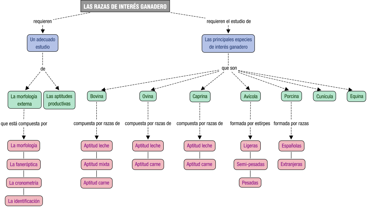 Descripci&oacute;n del mapa conceptual de FZ01