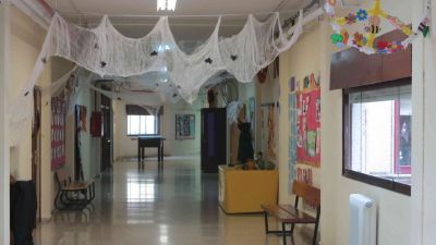 IMG_5342.jpg