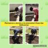 ACTIVIDADE_PLANTAR.JPG