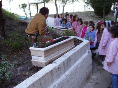 Clases de xardiñería en Abelendo
