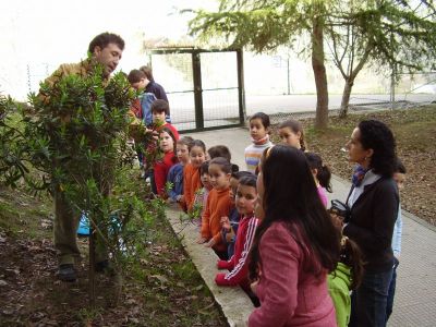 Clases de xardiñería en Abelendo

