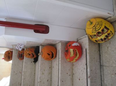 Cabazas_16_015.jpg