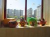 Cabazas_16_018.jpg