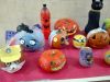 IMG_20171102_114127.jpg