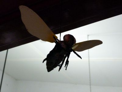 028_Enredo_abelleiro_WEB.jpg