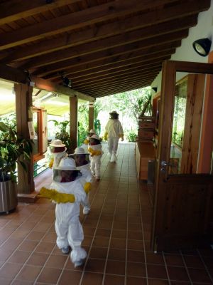 115_Enredo_abelleiro_WEB.jpg