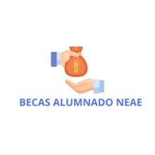 becas alumnado neae