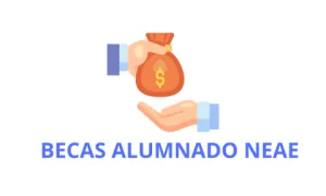 becas alumnado neae