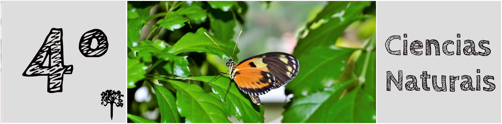 Curso virtual da área