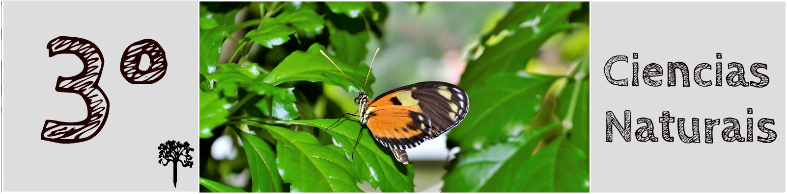 Curso virtual da área