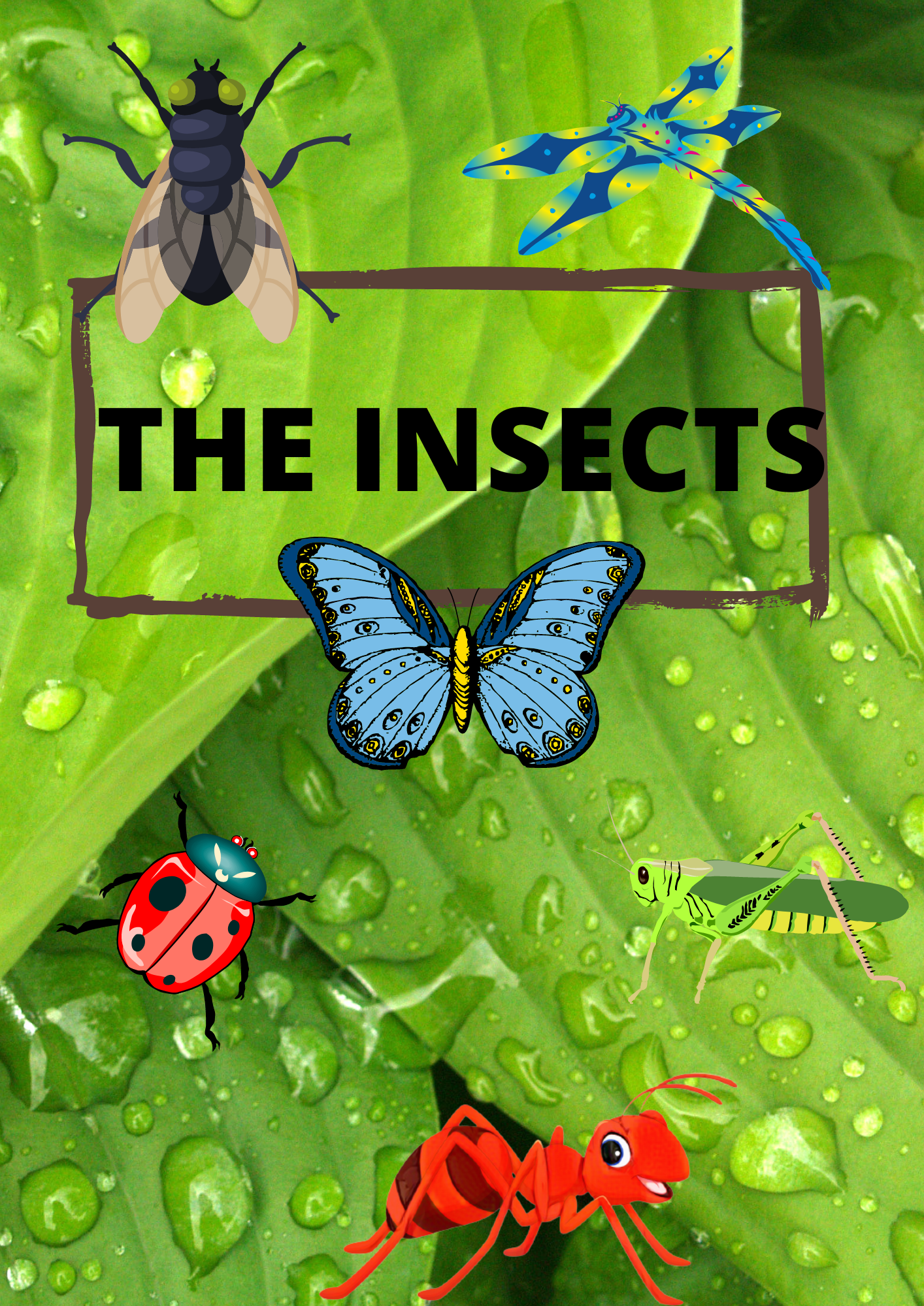 THE INSECTS 