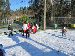 400_novoIMG_1763_X.jpg