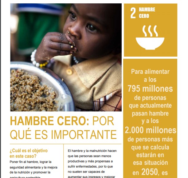 Por qué es importante