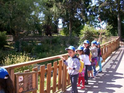 excursion_vigo-cangas_004_[1600x1200].JPG