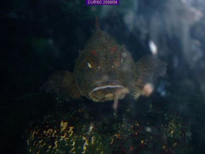th_DSCF1530.jpg