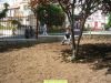 th_DSCN3684.JPG