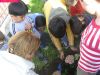 th_DSCN5982.JPG