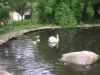 th_DSCN7455.JPG