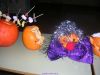 th_DSCN7961.JPG
