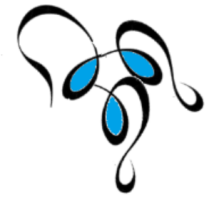 Aula Virtual 2024-2025