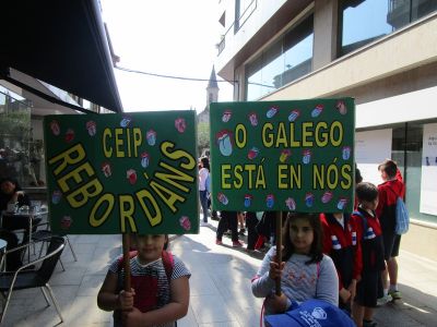 IMG_3082_redimensionado.JPG