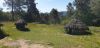 Saida_Campo_Lameiro_040.jpg