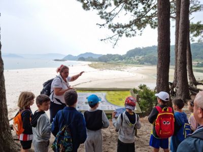 Cies_28629.jpg
