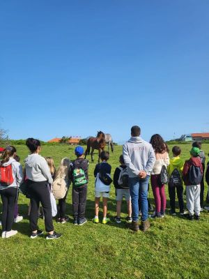 Visita_Mosteiro_28829.jpg