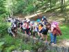 IMG_20190515_113610_1_5B800x6005D.jpg