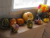 DSCF0335.JPG