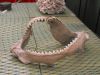 DSCF4467.JPG