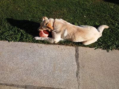 20170615_202156.jpg