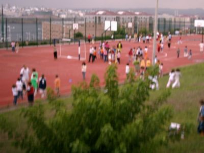 39-AAAA0051.JPG