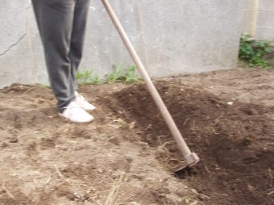 P1010009_1.JPG