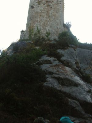 P1010042~5.JPG