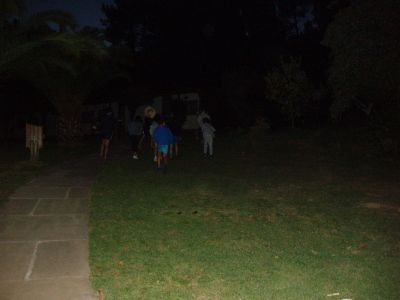 P1010078~1.JPG