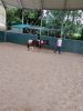 20220610_133208.jpg