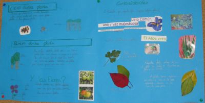 5ºB11_009.jpg