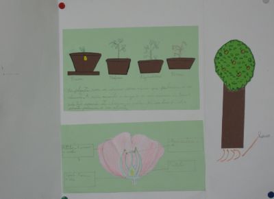 5ºB11_019.jpg