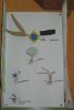 5ºB11_016.jpg
