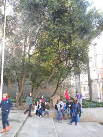500_DSCN0825.jpg