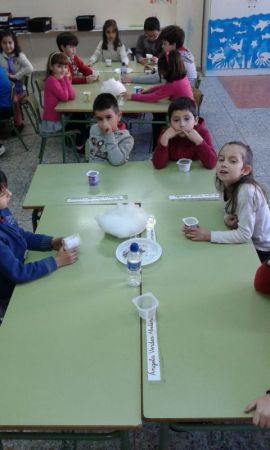 20150209_115157_(Copiar).jpg