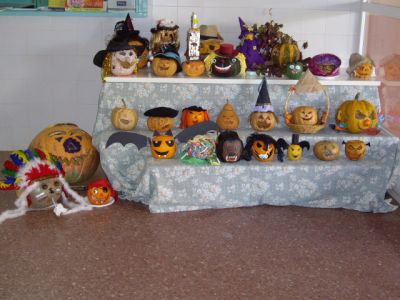 EXPOSICIÓN E PRIMARIA 2
