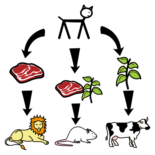 Scheme Pictogram of a scheme