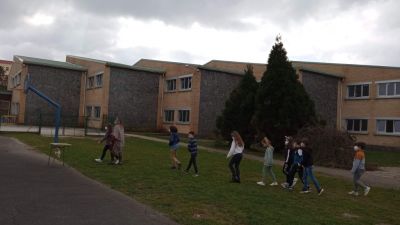 IMG_20210305_121613.jpg