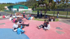 IMG_20230427_130533.jpg