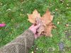 WhatsApp_Image_2020-11-06_at_14_55_28.jpeg