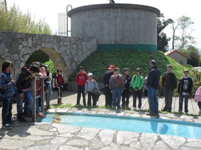 SDC14304.jpg
