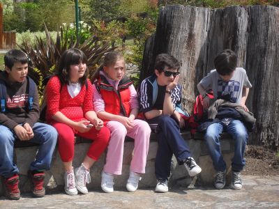 SDC14328.jpg